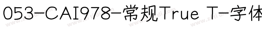 053-CAI978-常规True T字体转换
